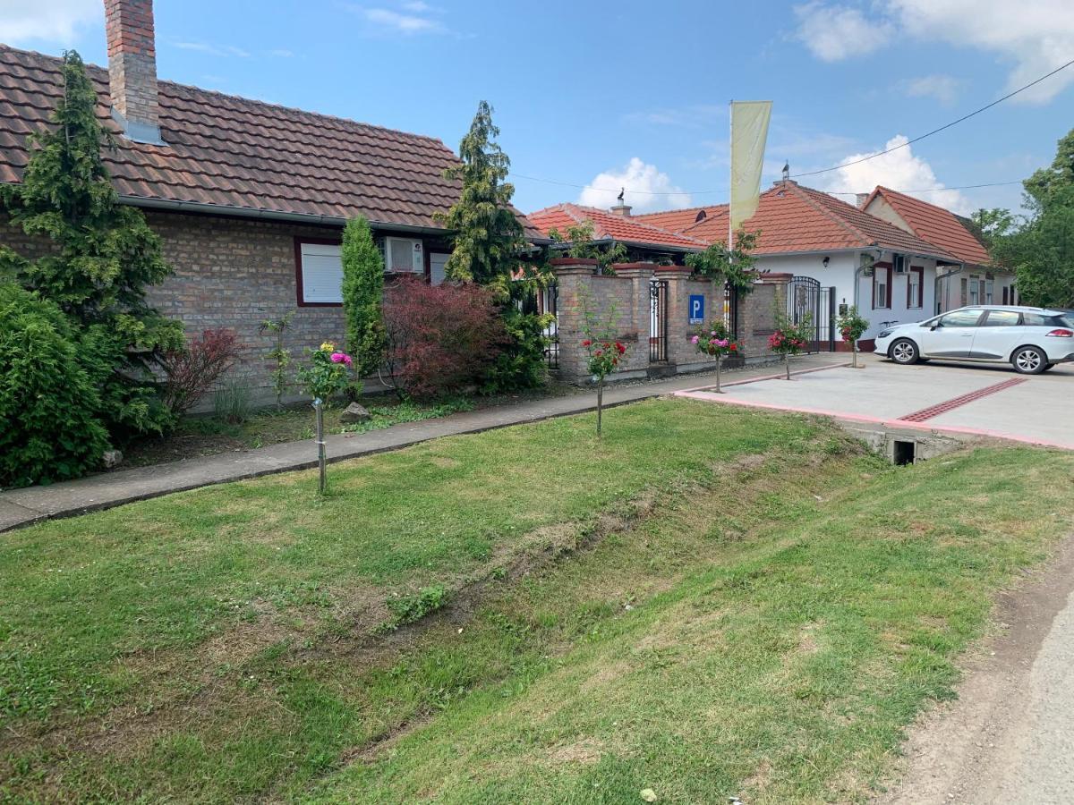 Vila Sunce Morović Extérieur photo