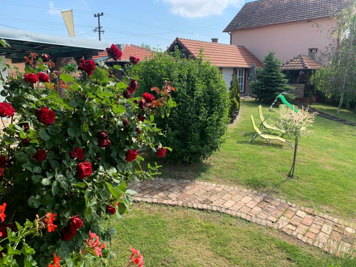 Vila Sunce Morović Extérieur photo