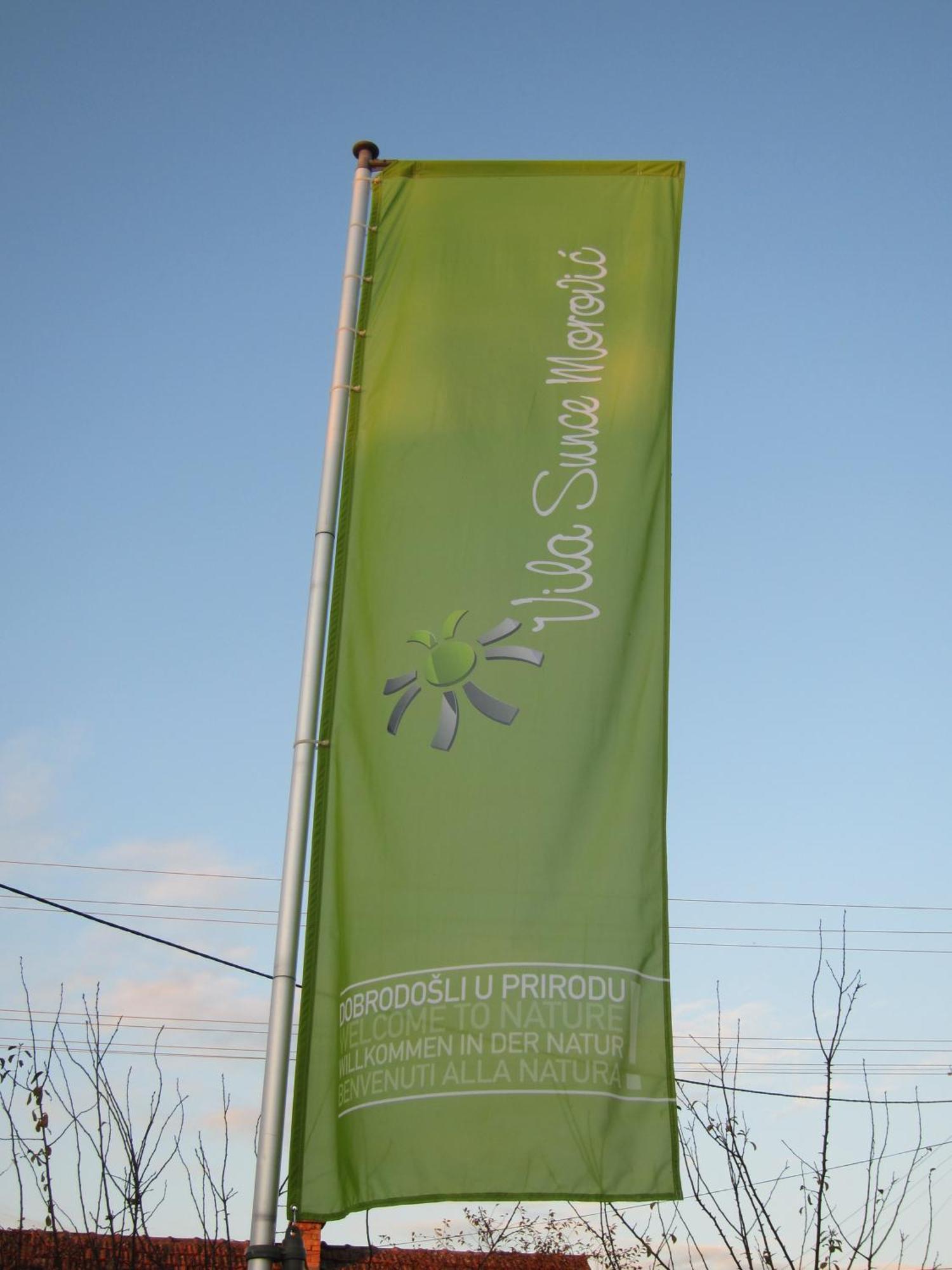 Vila Sunce Morović Extérieur photo