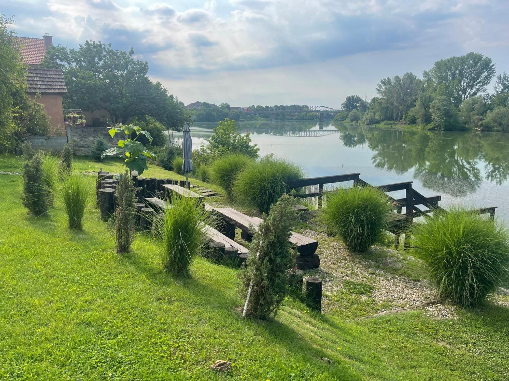 Vila Sunce Morović Extérieur photo