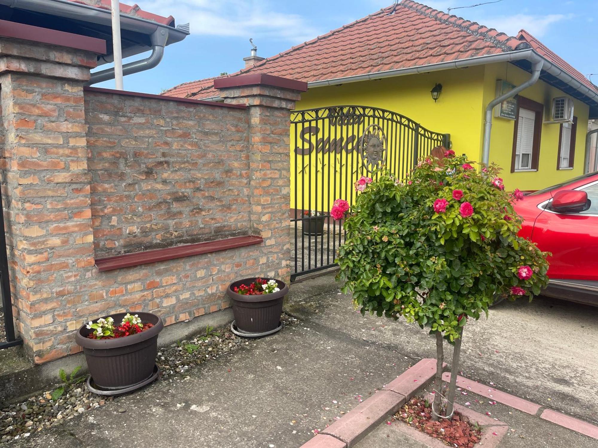 Vila Sunce Morović Extérieur photo