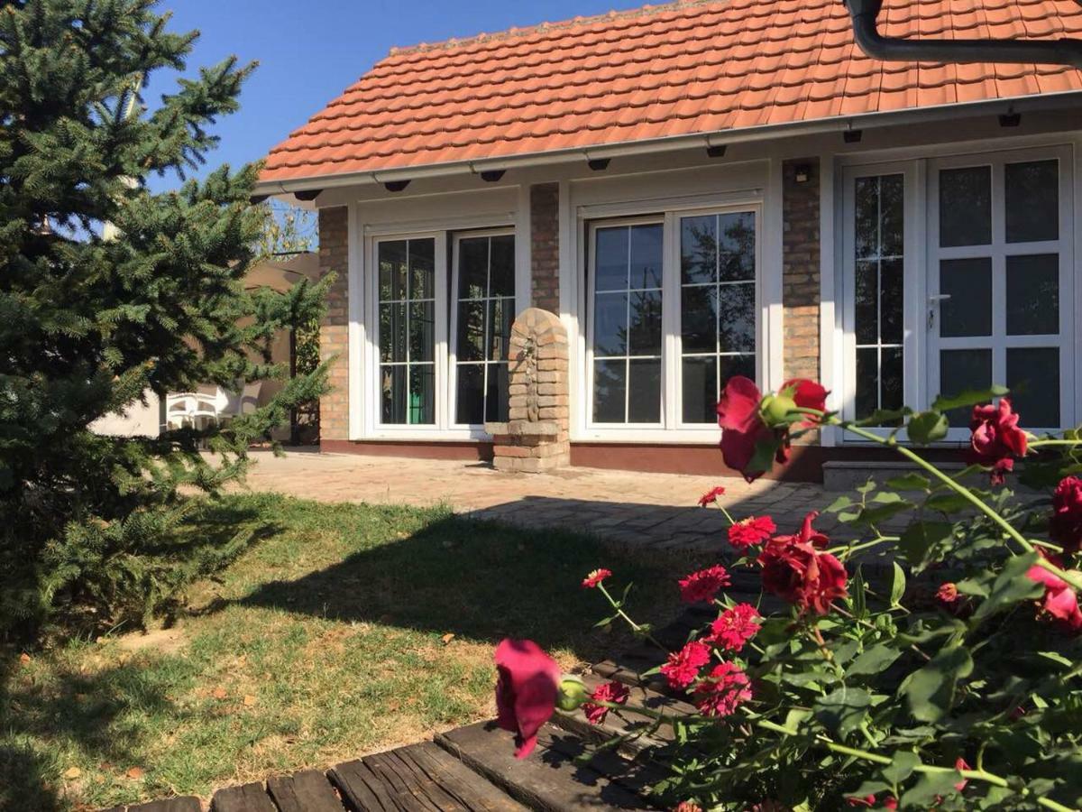 Vila Sunce Morović Extérieur photo